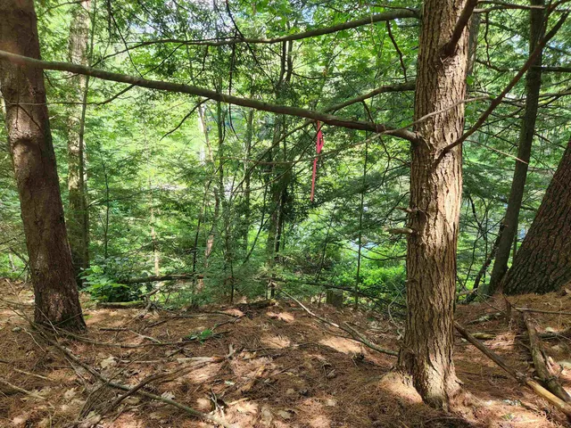 $225,000 | 0 Wales Bridge Road, Loudon, NH 03307