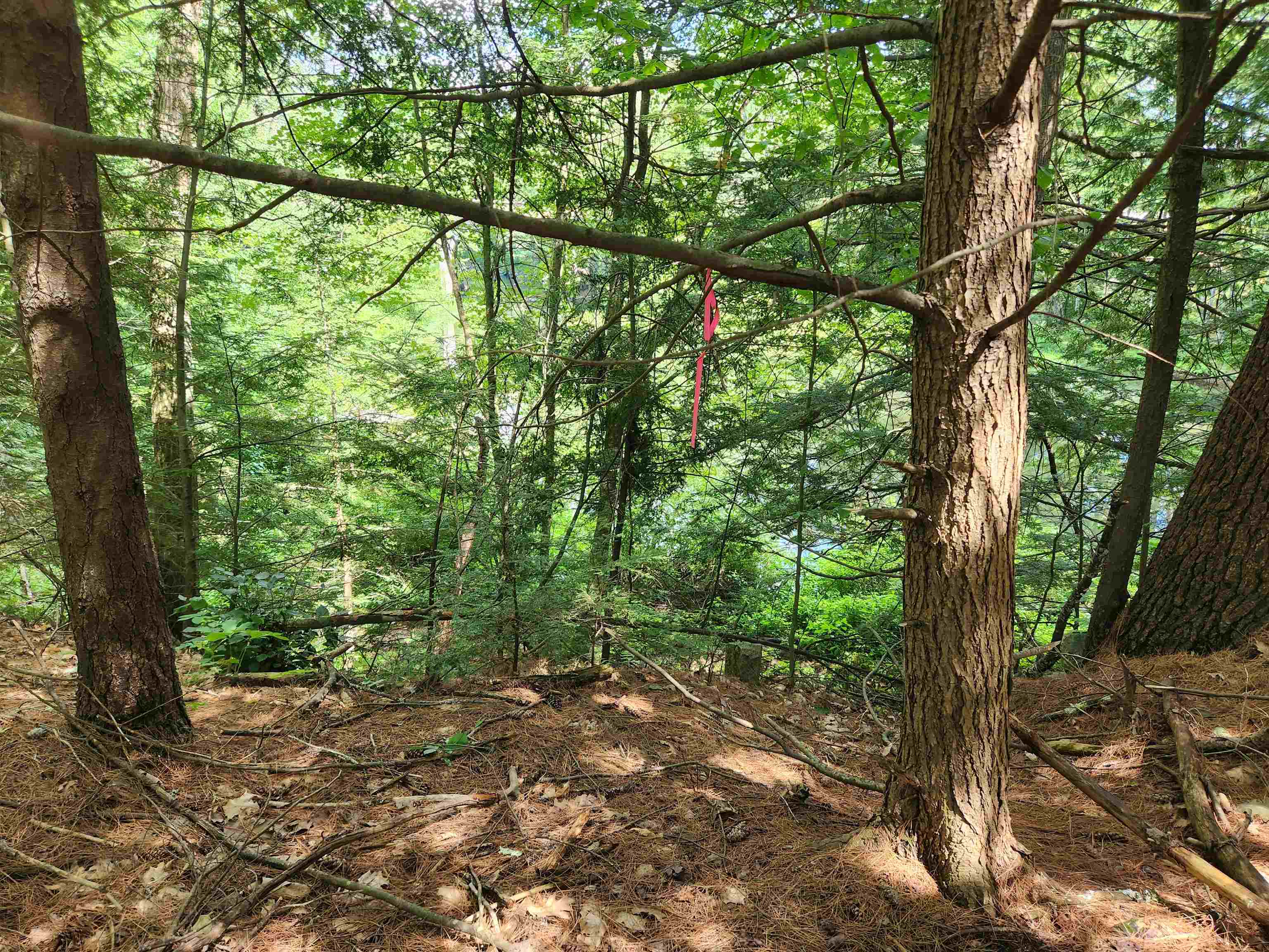 0 Wales Bridge Road Loudon, NH 03307 - Photo 13 of 14