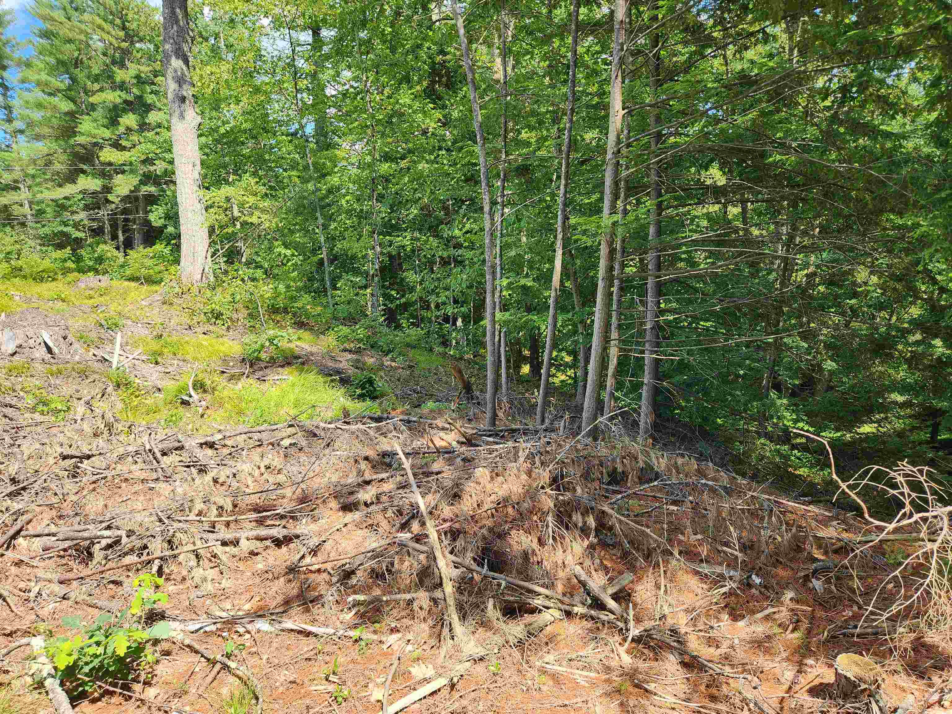 0 Wales Bridge Road Loudon, NH 03307 - Photo 14 of 14