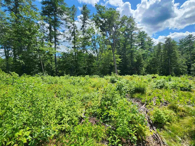 $225,000 | 0 Wales Bridge Road, Loudon, NH 03307