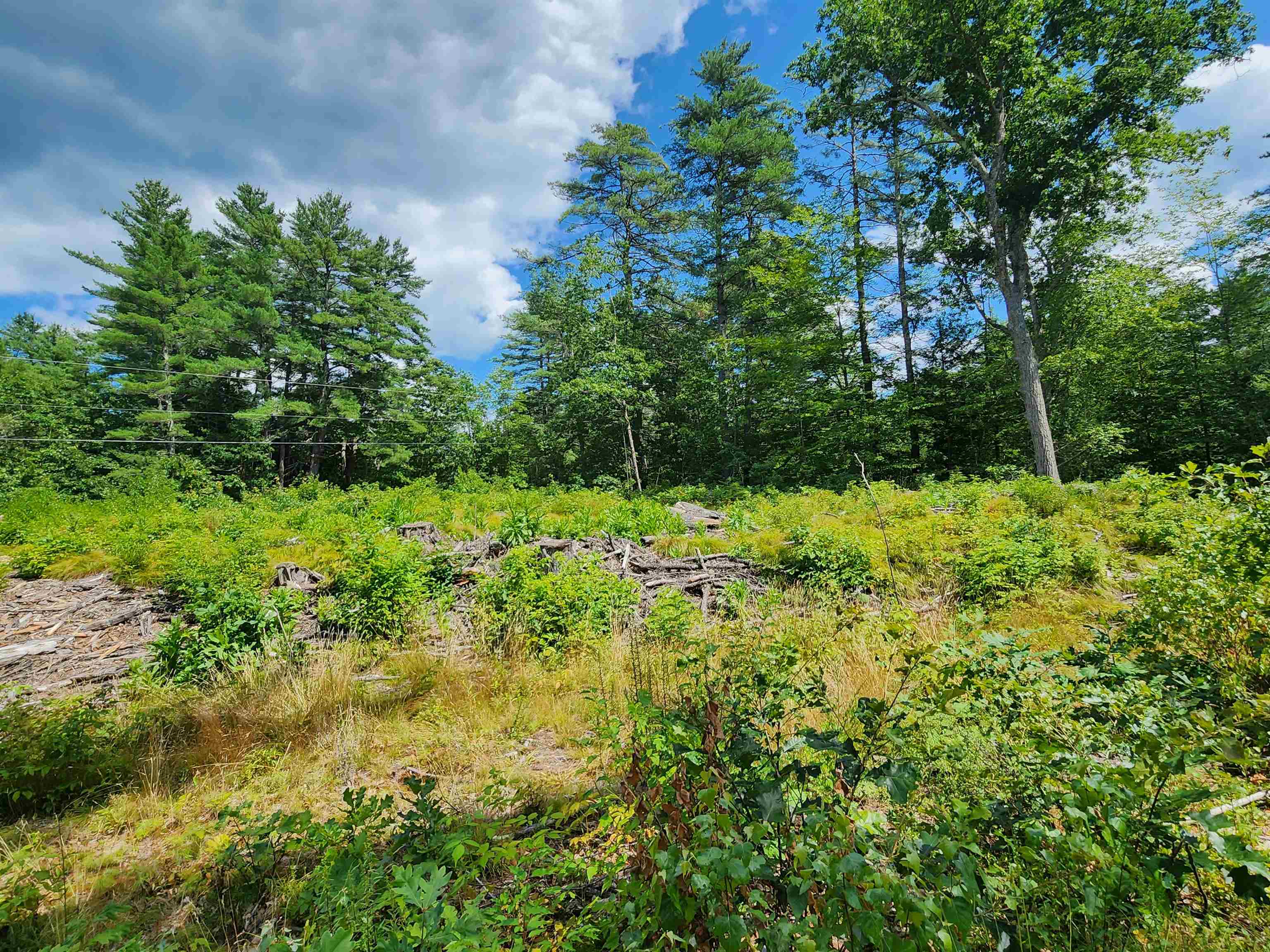 0 Wales Bridge Road Loudon, NH 03307 - Photo 7 of 14