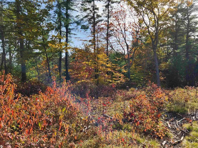 $225,000 | 0 Wales Bridge Road, Loudon, NH 03307