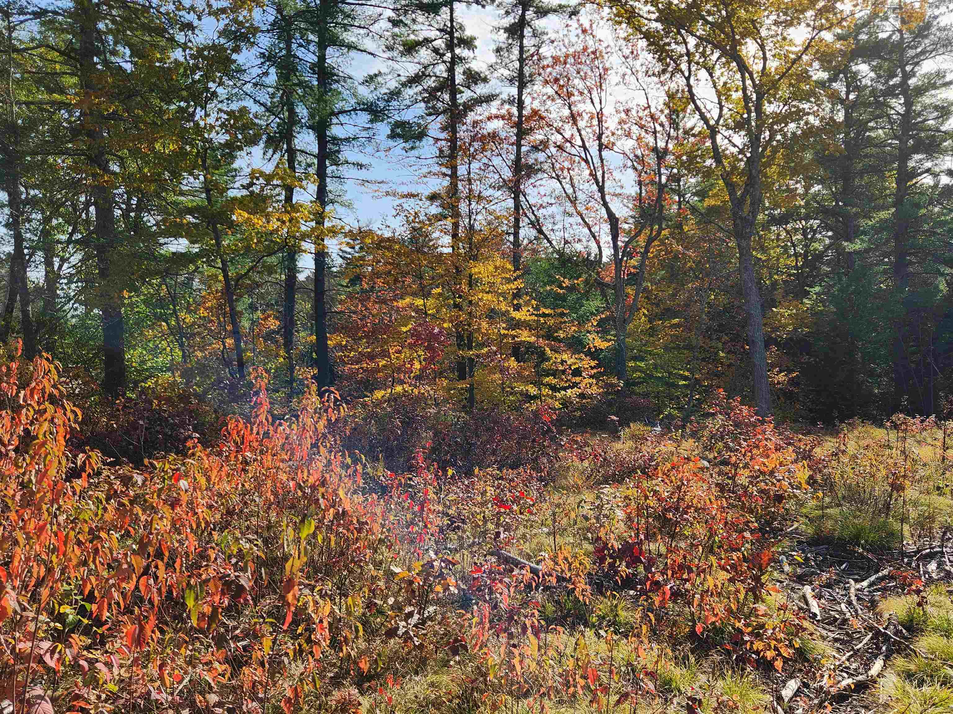0 Wales Bridge Road Loudon, NH 03307 - Photo 9 of 14