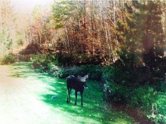 307 Tunnel Stream Road Benton, NH 03785 - Photo 32 of 37 Gallery Image 32
