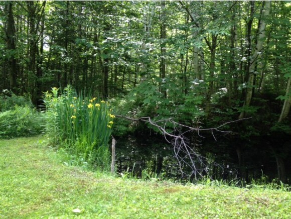 307 Tunnel Stream Road Benton, NH 03785 - Photo 35 of 37 Gallery Image 35