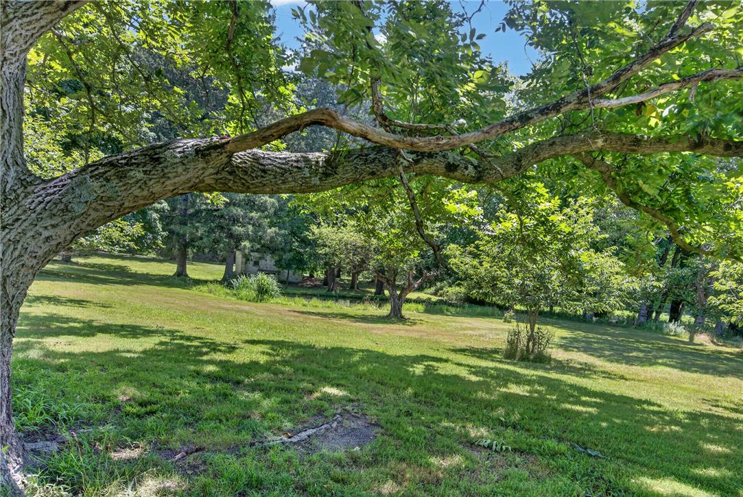 51 Reynolds Road Tamaqua, PA 18252 - Photo 66 of 71 A verdant, open lot framed by mature trees offers a peaceful, natural setting.