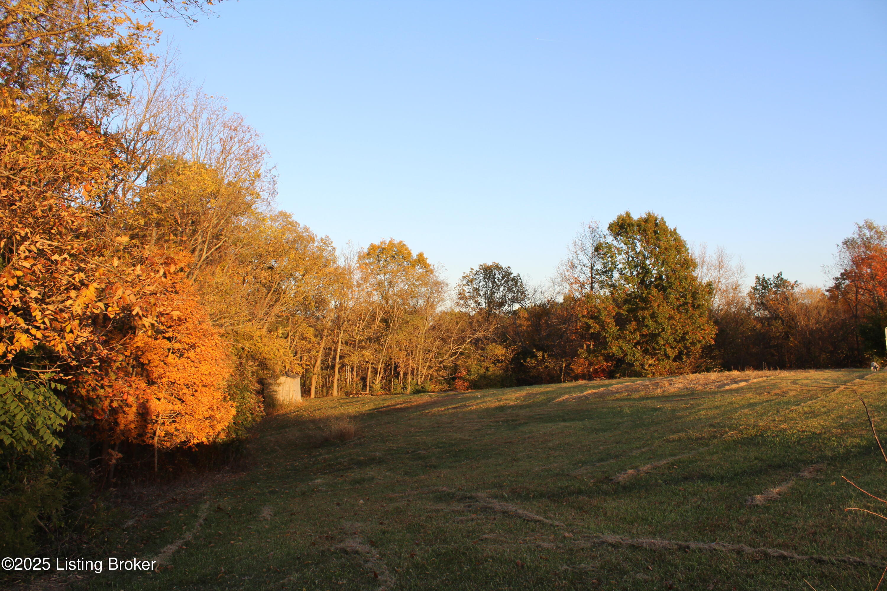 12 Vigo Road Bagdad, KY 40003 - Photo 24 of 25 IMG_1272