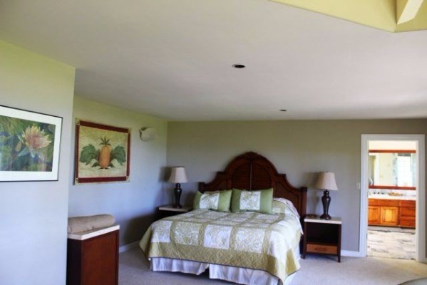 7261 Alamoo Road Hanalei, HI 96714 - Photo 10 of 19