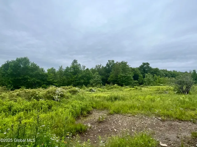 $71,000 | 2285 Ny-10, Jefferson, NY 12093