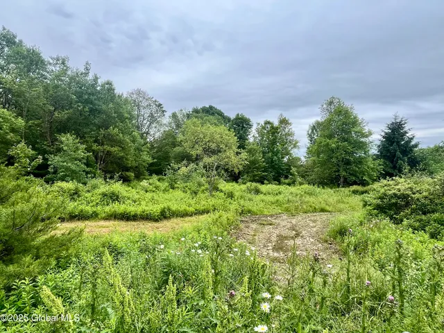 $71,000 | 2285 Ny-10, Jefferson, NY 12093