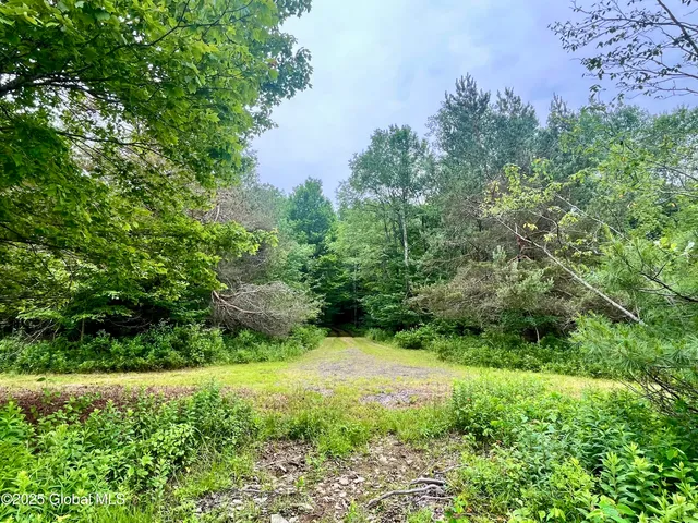 $71,000 | 2285 Ny-10, Jefferson, NY 12093