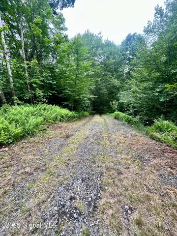 $71,000 | 2285 Ny-10, Jefferson, NY 12093