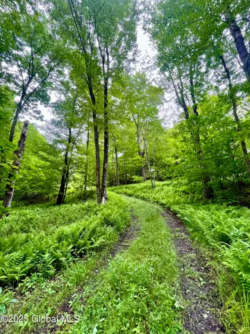 $71,000 | 2285 Ny-10, Jefferson, NY 12093