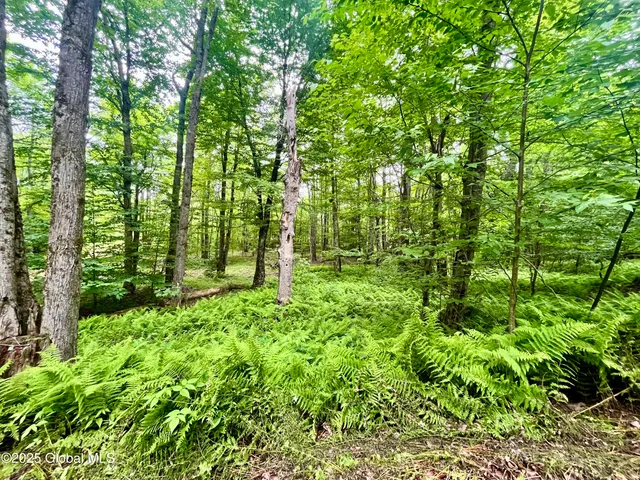 $71,000 | 2285 Ny-10, Jefferson, NY 12093