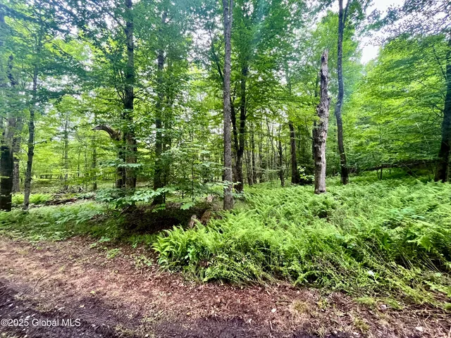 $71,000 | 2285 Ny-10, Jefferson, NY 12093