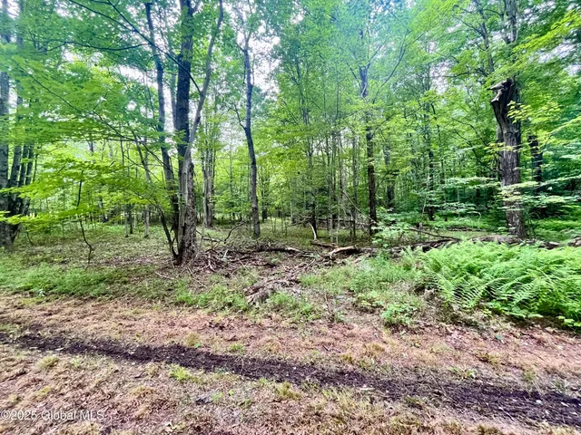 $71,000 | 2285 Ny-10, Jefferson, NY 12093