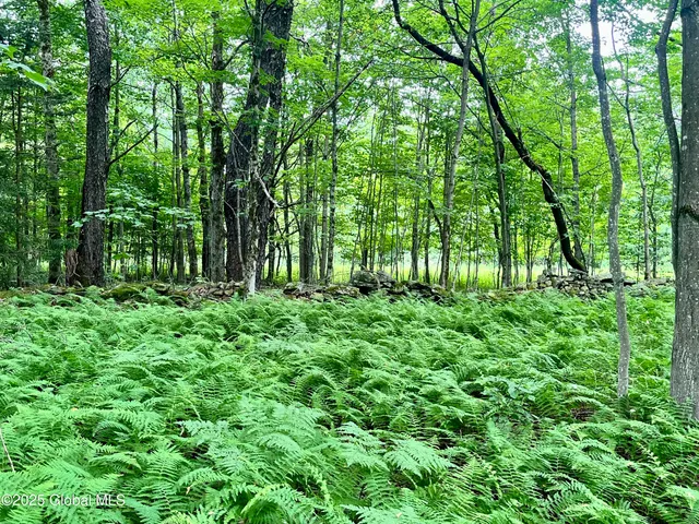 $71,000 | 2285 Ny-10, Jefferson, NY 12093