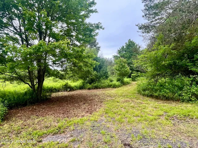 $71,000 | 2285 Ny-10, Jefferson, NY 12093