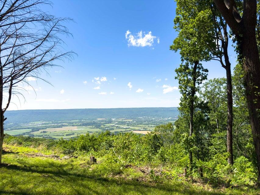 1455 Rigsby Gap Road Pikeville, TN 37367 - Photo 2 of 66 Bluff View