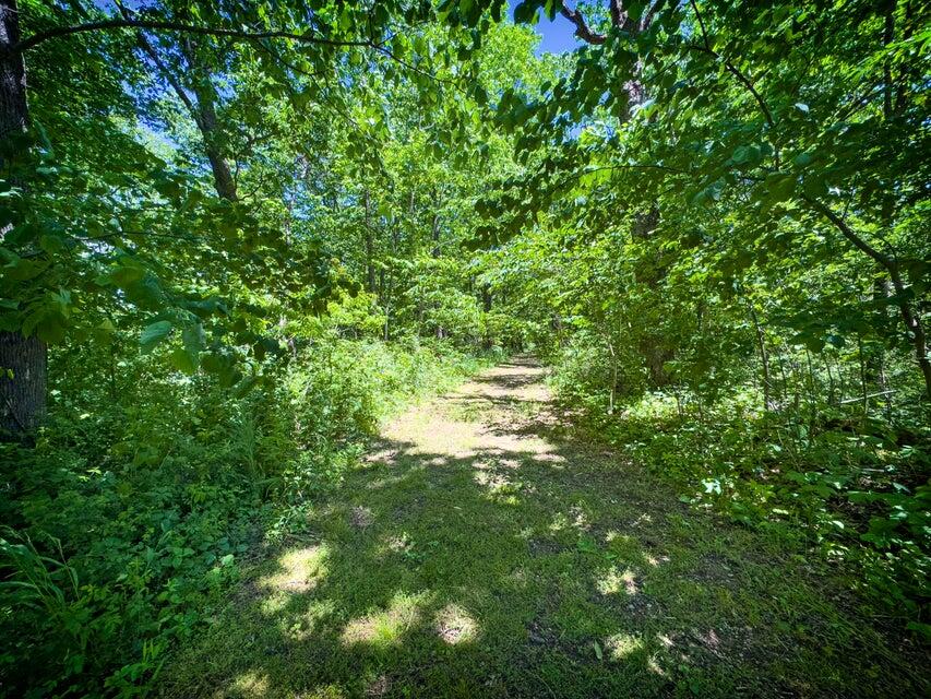 1455 Rigsby Gap Road Pikeville, TN 37367 - Photo 50 of 66 Trail