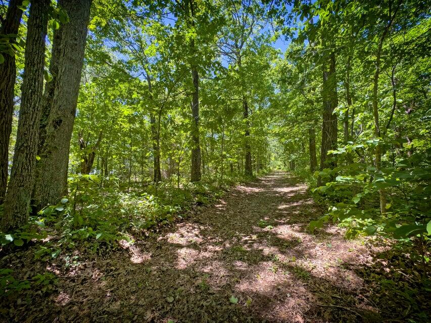 1455 Rigsby Gap Road Pikeville, TN 37367 - Photo 51 of 66 Trail