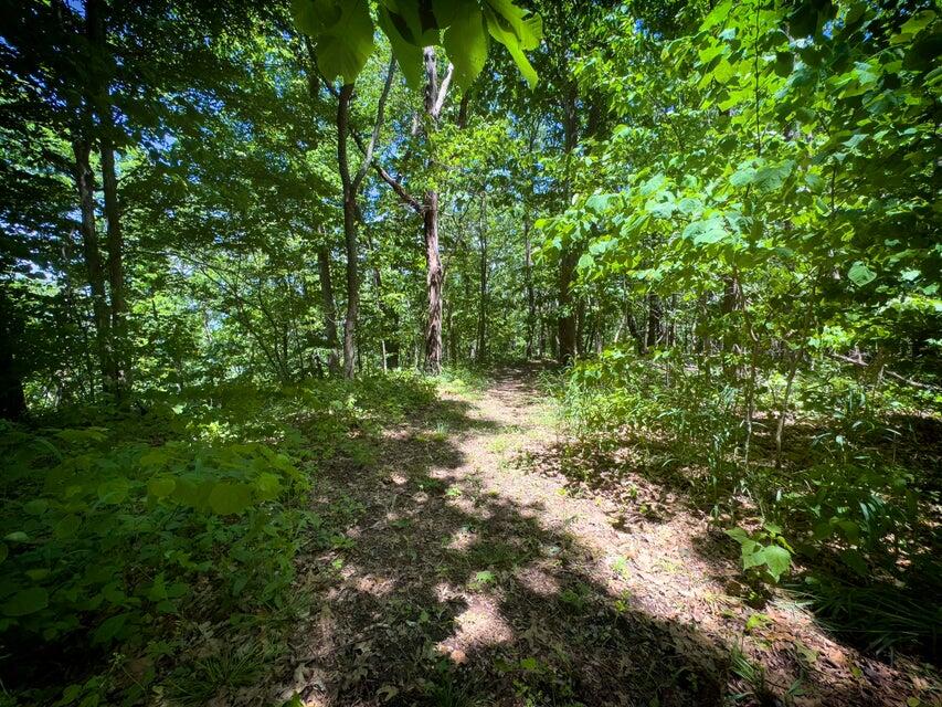 1455 Rigsby Gap Road Pikeville, TN 37367 - Photo 52 of 66 Trail