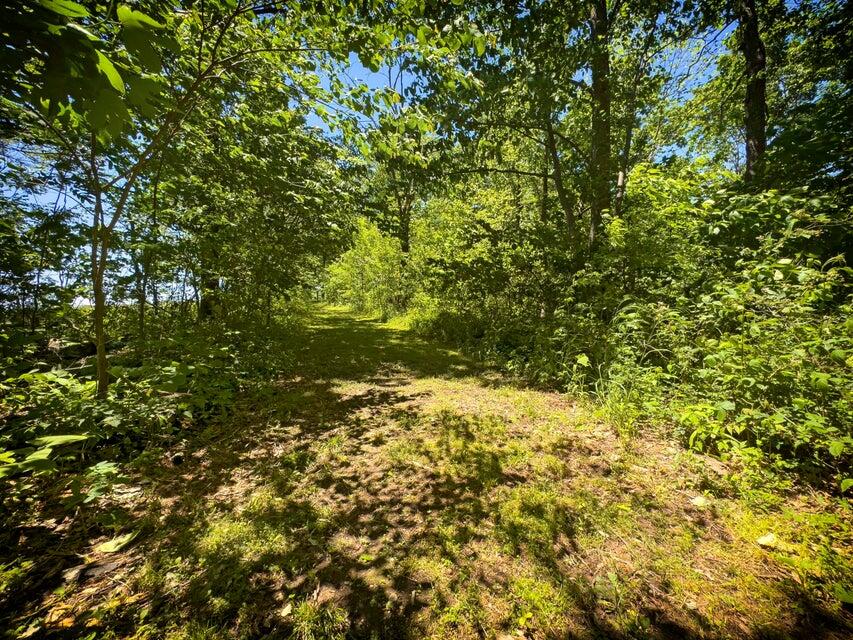 1455 Rigsby Gap Road Pikeville, TN 37367 - Photo 53 of 66 Trail