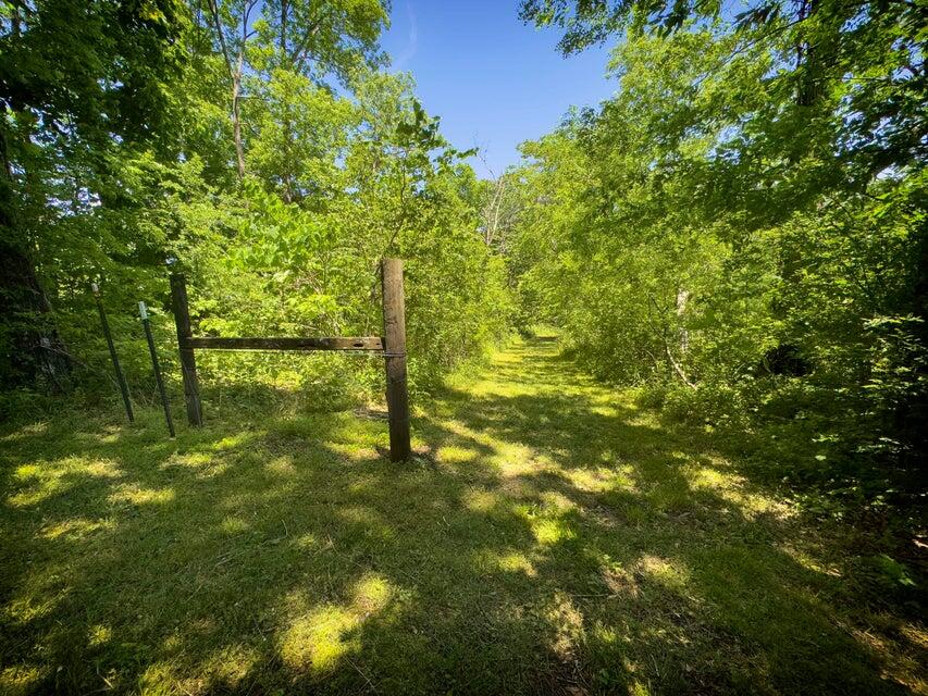 1455 Rigsby Gap Road Pikeville, TN 37367 - Photo 54 of 66 Trail