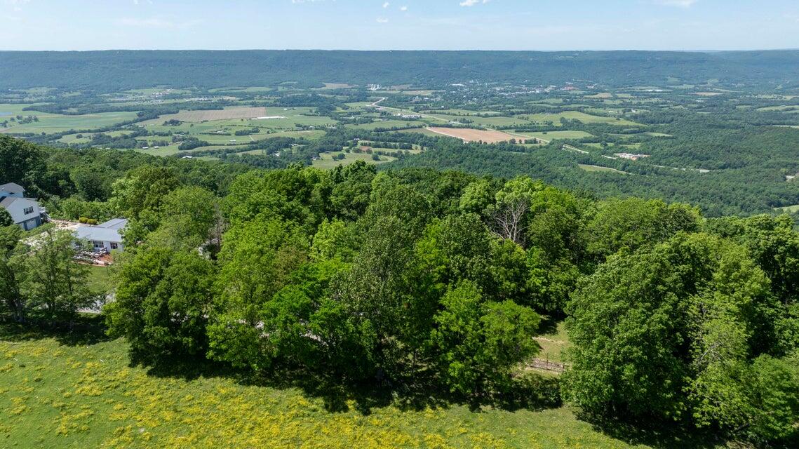 1455 Rigsby Gap Road Pikeville, TN 37367 - Photo 55 of 66 Aerial