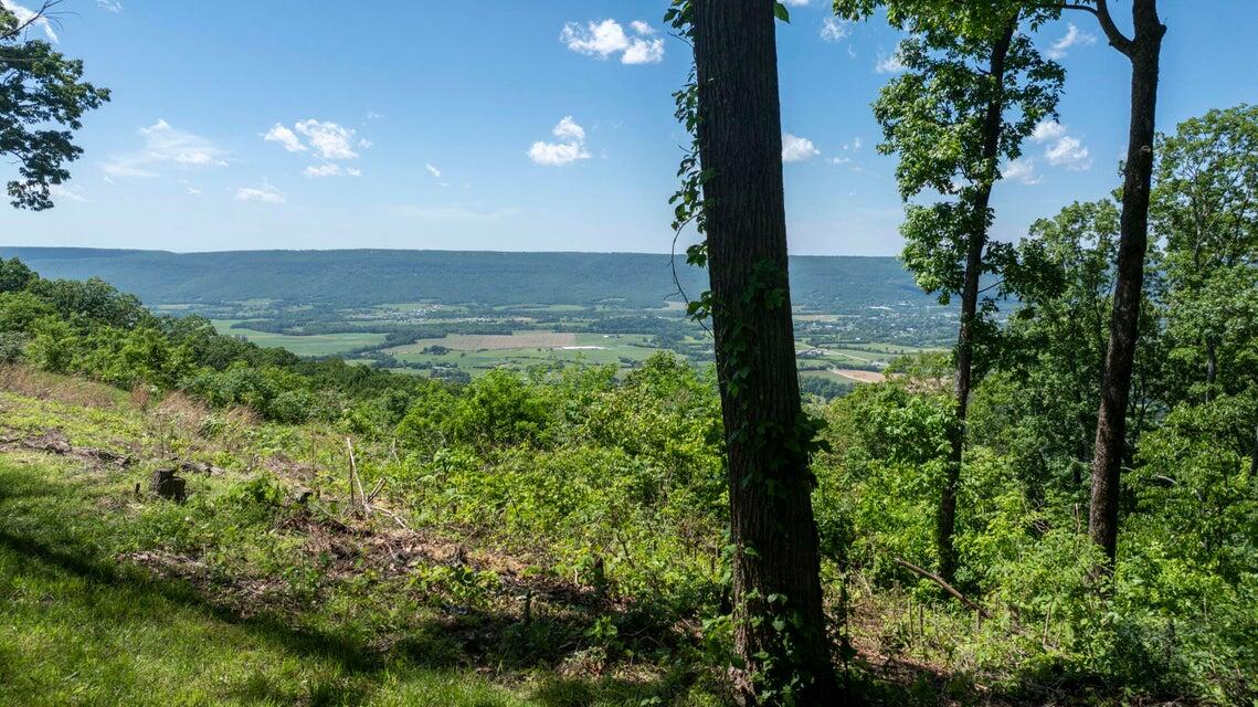 1455 Rigsby Gap Road Pikeville, TN 37367 - Photo 58 of 66 Bluff View
