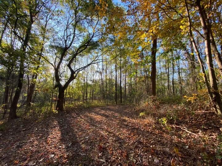 1455 Rigsby Gap Road Pikeville, TN 37367 - Photo 64 of 66 IMG_1725