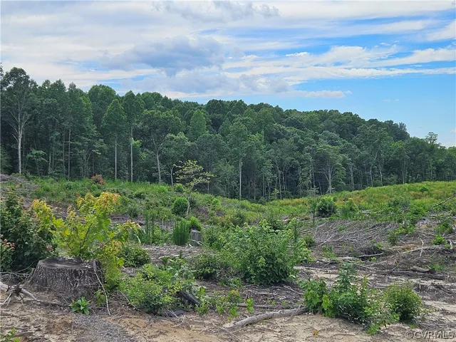 a view of a city with lush green forest