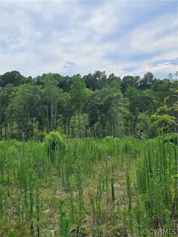 a view of a lush green space with sea