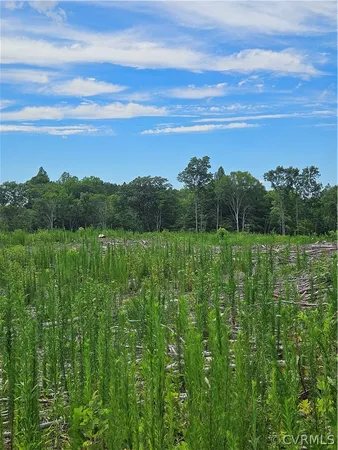 a view of a lush green space with sea