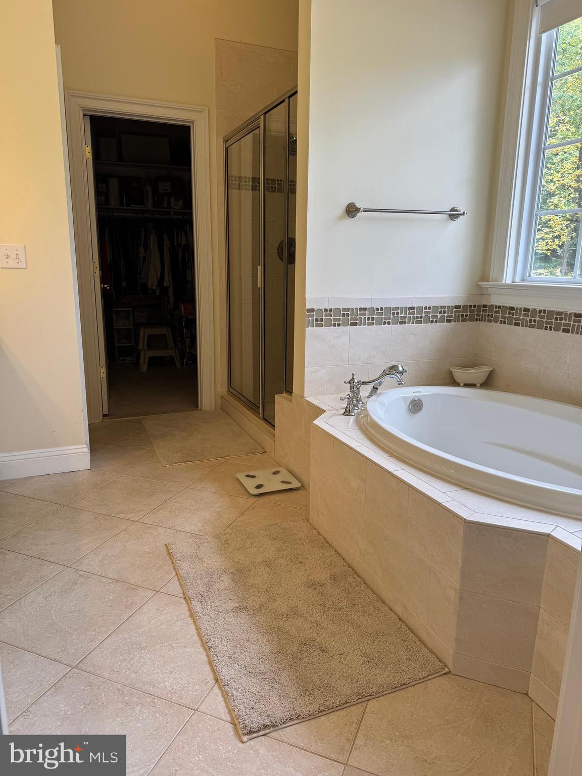 1670 Monument Road Middletown, MD 21769 - Photo 40 of 69 a spacious bathroom with a bathtub and a shower