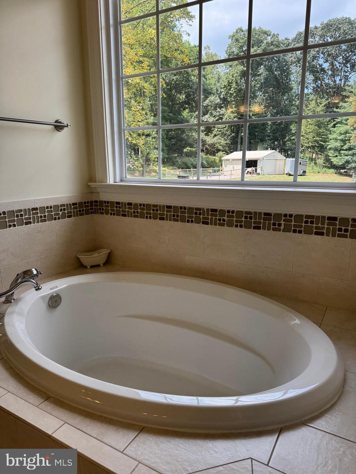 1670 Monument Road Middletown, MD 21769 - Photo 43 of 69 a white bath tub sitting in a bathroom next to a window