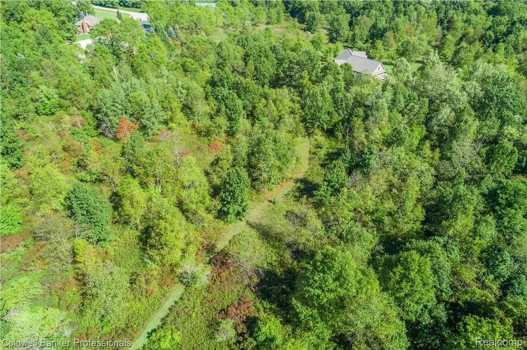 13189 Foley Road Fenton, MI 48430 - Photo 12 of 87 Aerial Exteriors (8 of 13).jpg