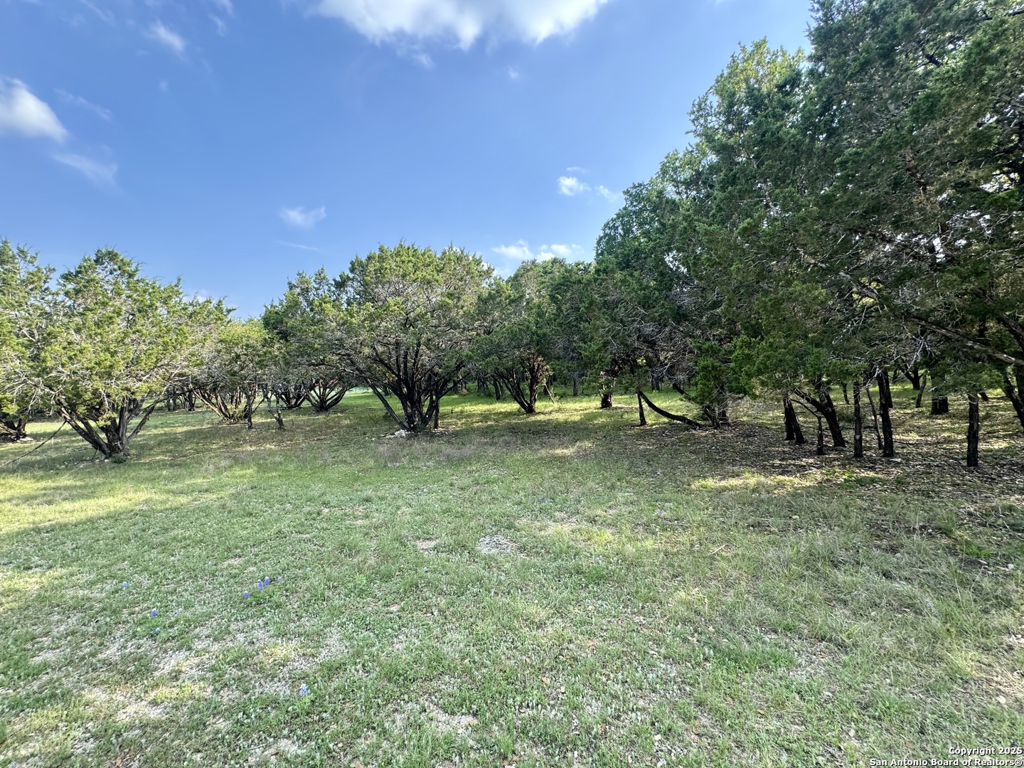 1160 Whispering Water Spring Branch, TX 78070 - Photo 7 of 19