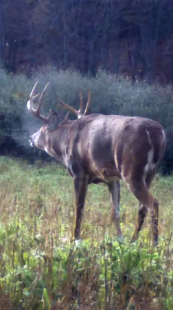 $380,000 | 1328 Fish Drive, Wisconsin Dells, WI 53965