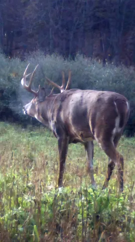 $380,000 | 1328 Fish Drive, Wisconsin Dells, WI 53965