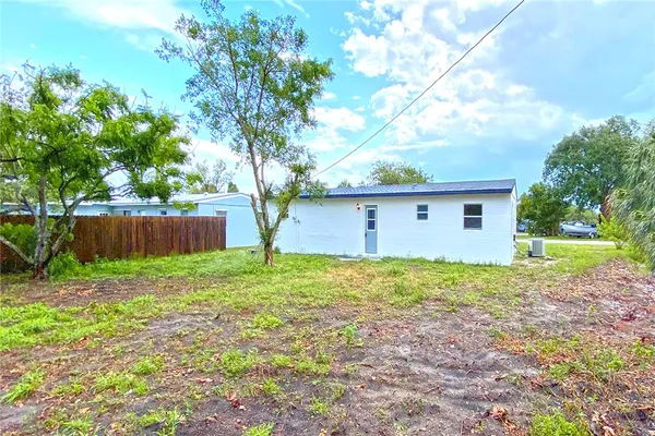 a backyard of a house with plants and large tree