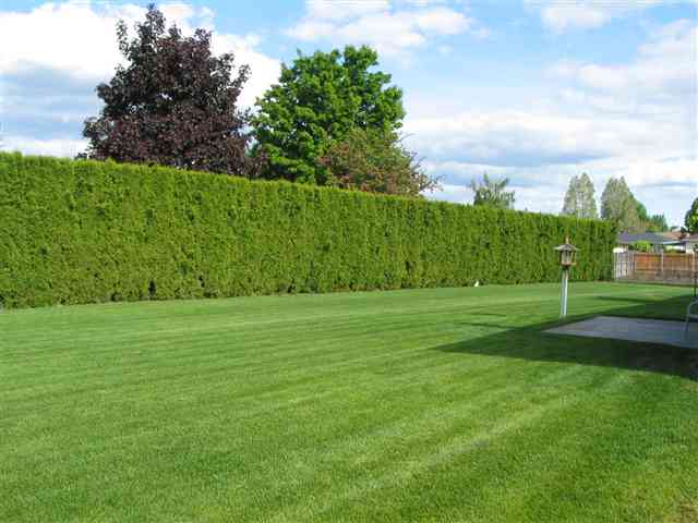 6002 West Crowchief Court Spokane, WA 99208 - Photo 6 of 9 Gallery Image 6