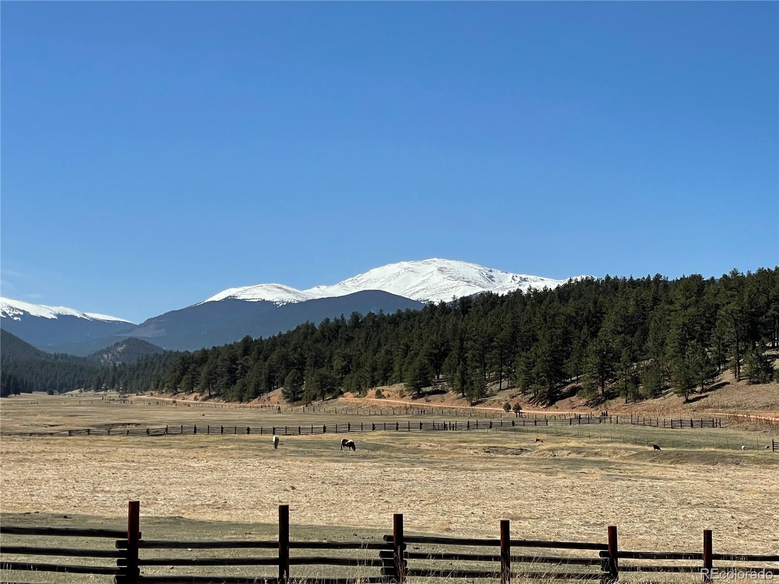 237 Rd B Pine, CO 80470 - Photo 40 of 41