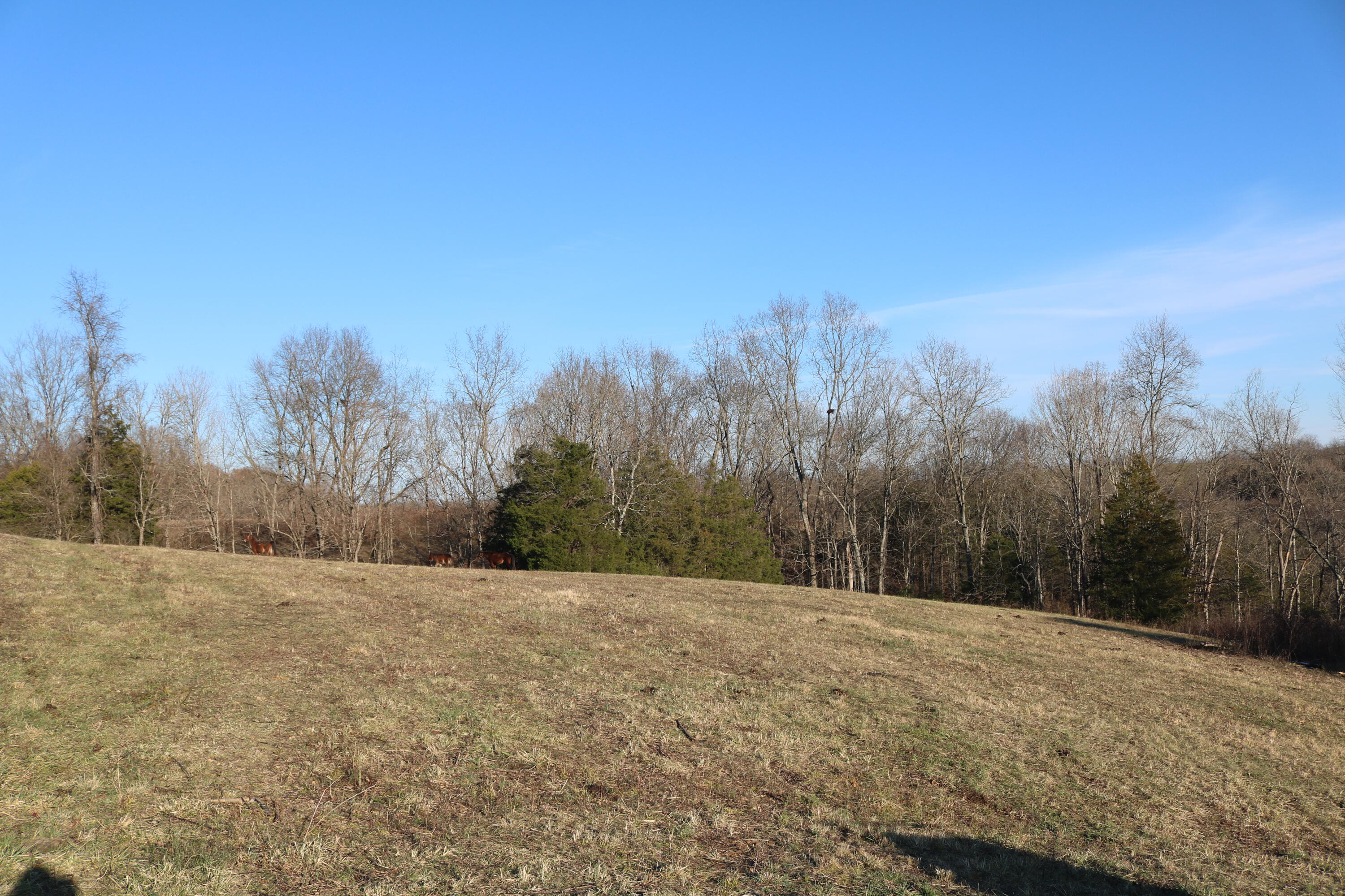 1 B Sharp Road Sharpsburg, KY 40374 - Photo 2 of 6 IMG_7149