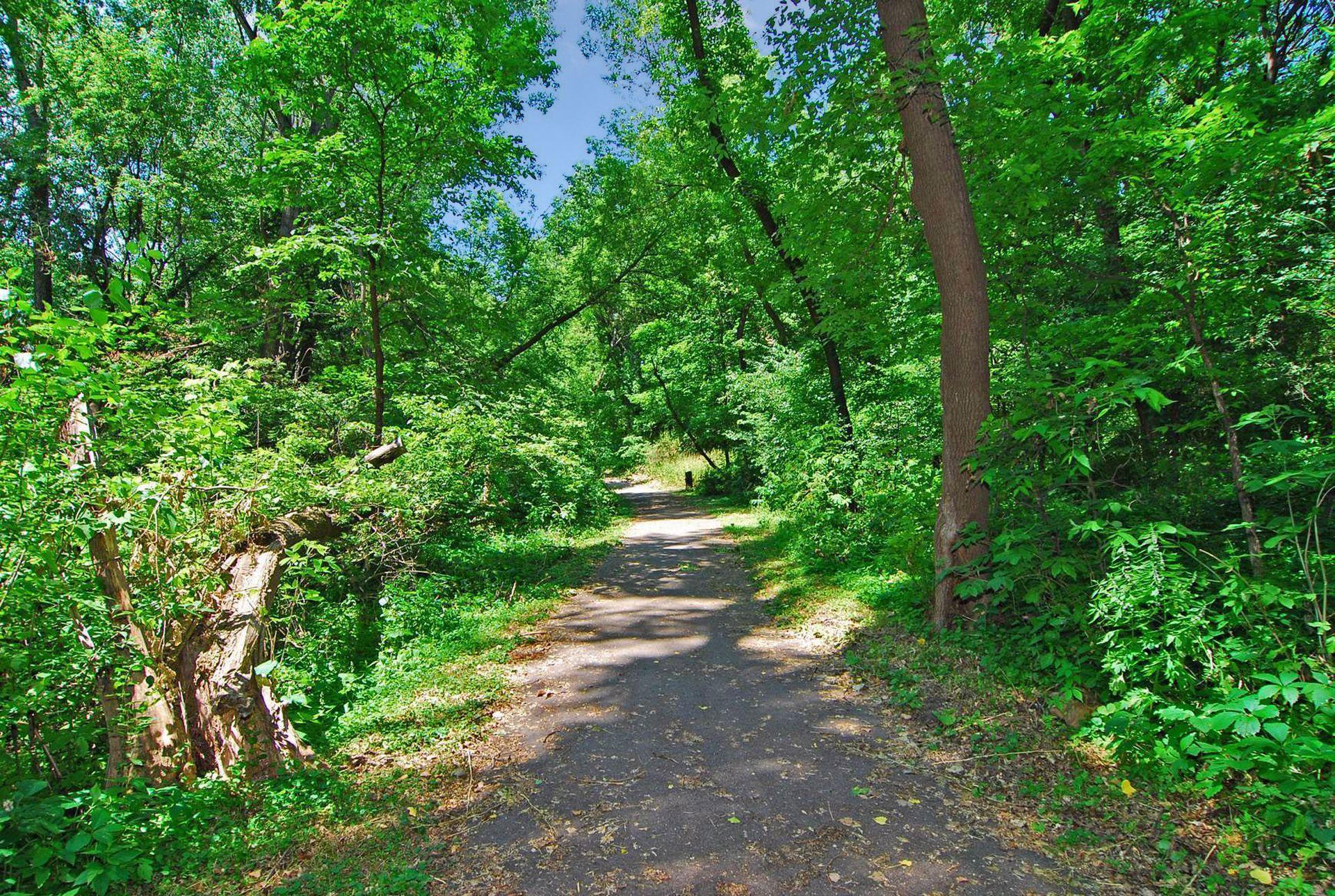 4401 Avondale Road Golden Valley, MN 55416 - Photo 41 of 48