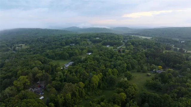 a view of a city with lush green forest