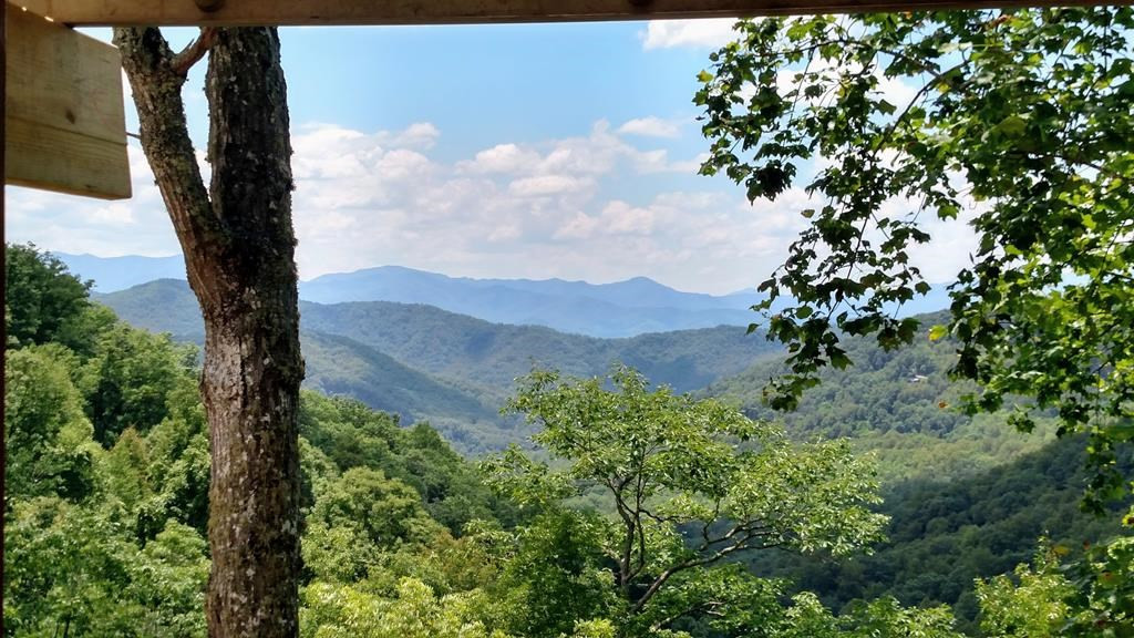 0 East Alarka Road Bryson City, NC 28713 - Photo 20 of 28