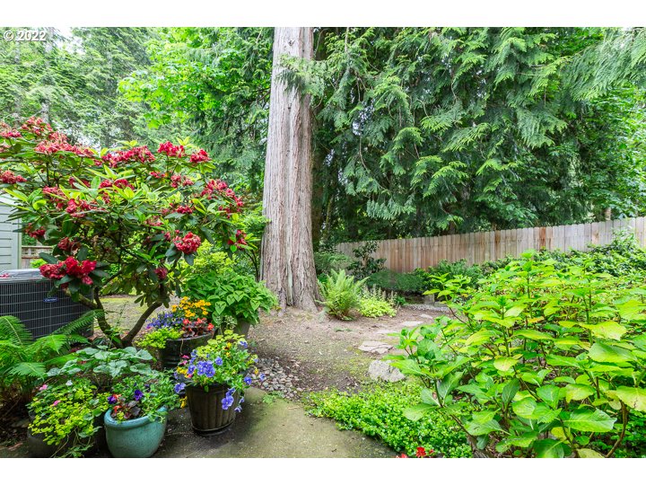 4880 Southwest Scholls Ferry Road, Unit 15 Portland, OR 97225 - Photo 18 of 21 Gallery Image 18