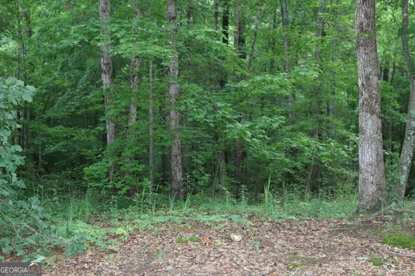 $57,000 | 0 Kingston Road, Colbert, GA 30628