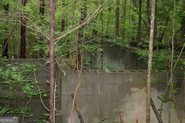 a view of a pathway next to a yard